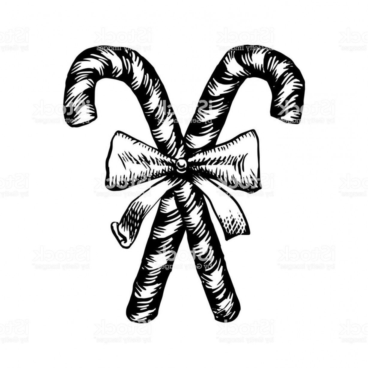 1228x1228 Christmas Candy Cane Sketch Vector Illustration Of Vintage