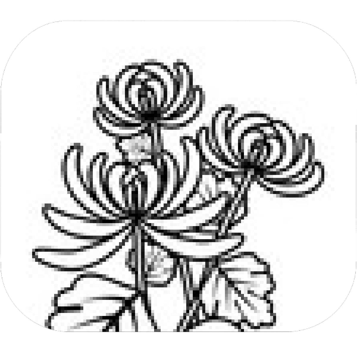 1200x1200 Designs Mein Mousepad Design Mousepad Selbst Designen