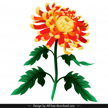 368x368 Chrysanthemum Free Vector Download