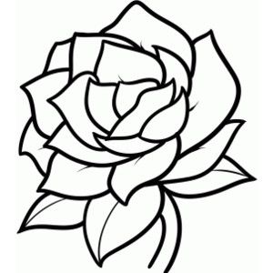300x300 How To Draw Cool Flowers Step