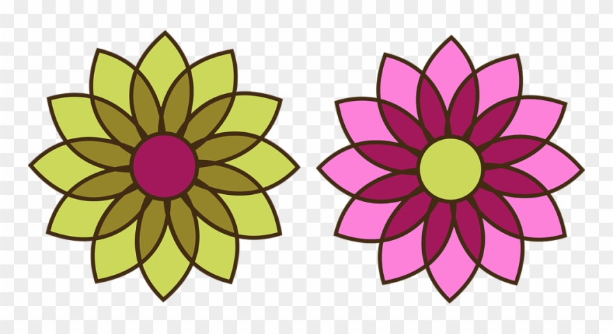 880x480 Chrysanthemum Clipart Flower Blossom