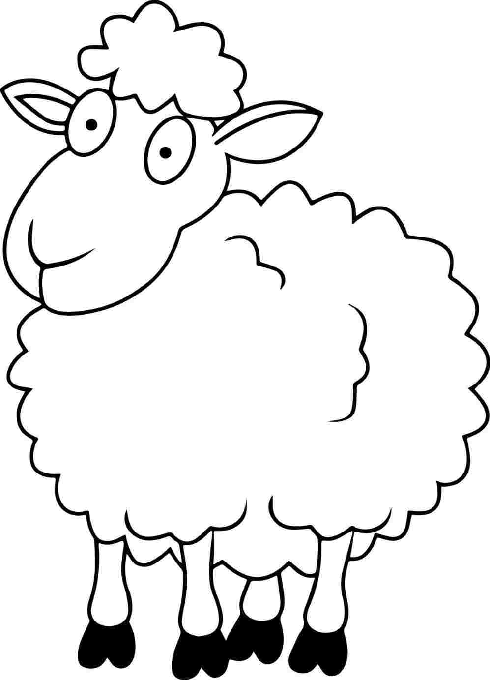 997x1383 Pin Sheep Drawing Cartoon