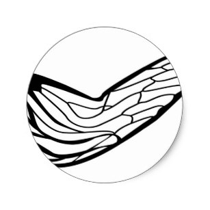 307x307 cicada insect gifts on zazzle