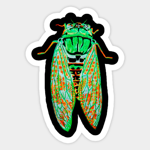 630x630 cicada