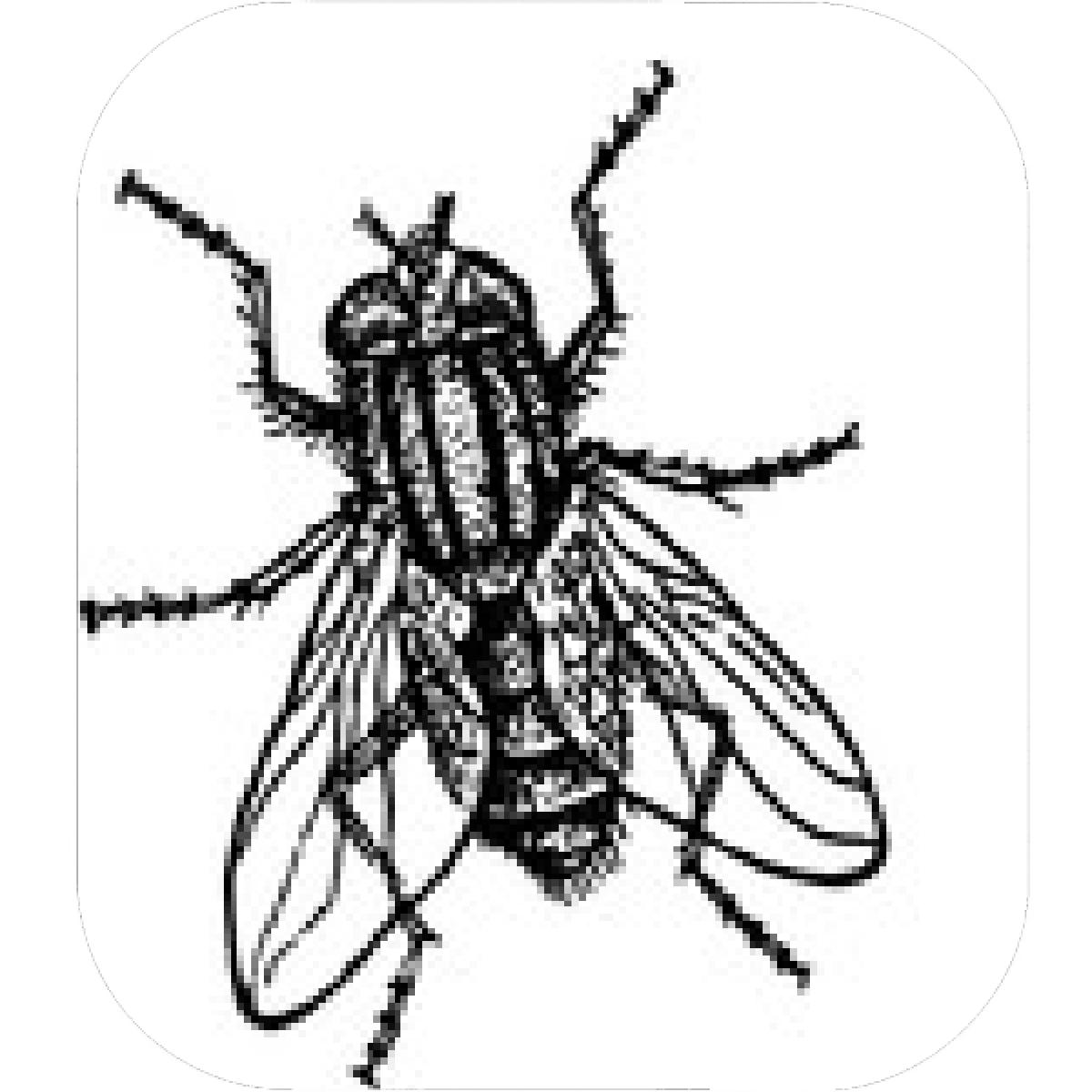 1200x1200 Designs Mein Mousepad Design Mousepad Selbst Designen