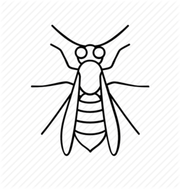 260x273 Drawing, Butterfly, Wing, Transparent Png Image Clipart Free