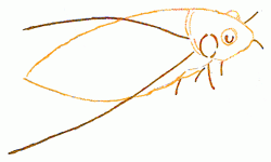 250x150 Exam Guide Online