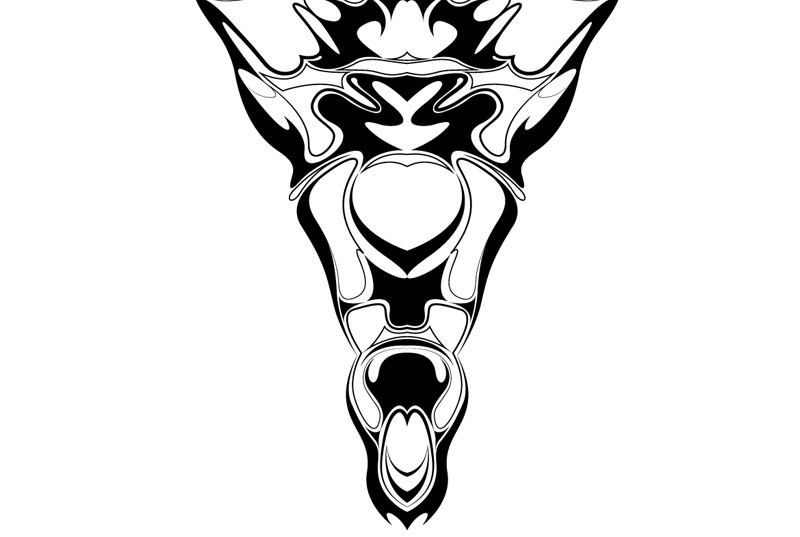 800x537 Cicada On Behance