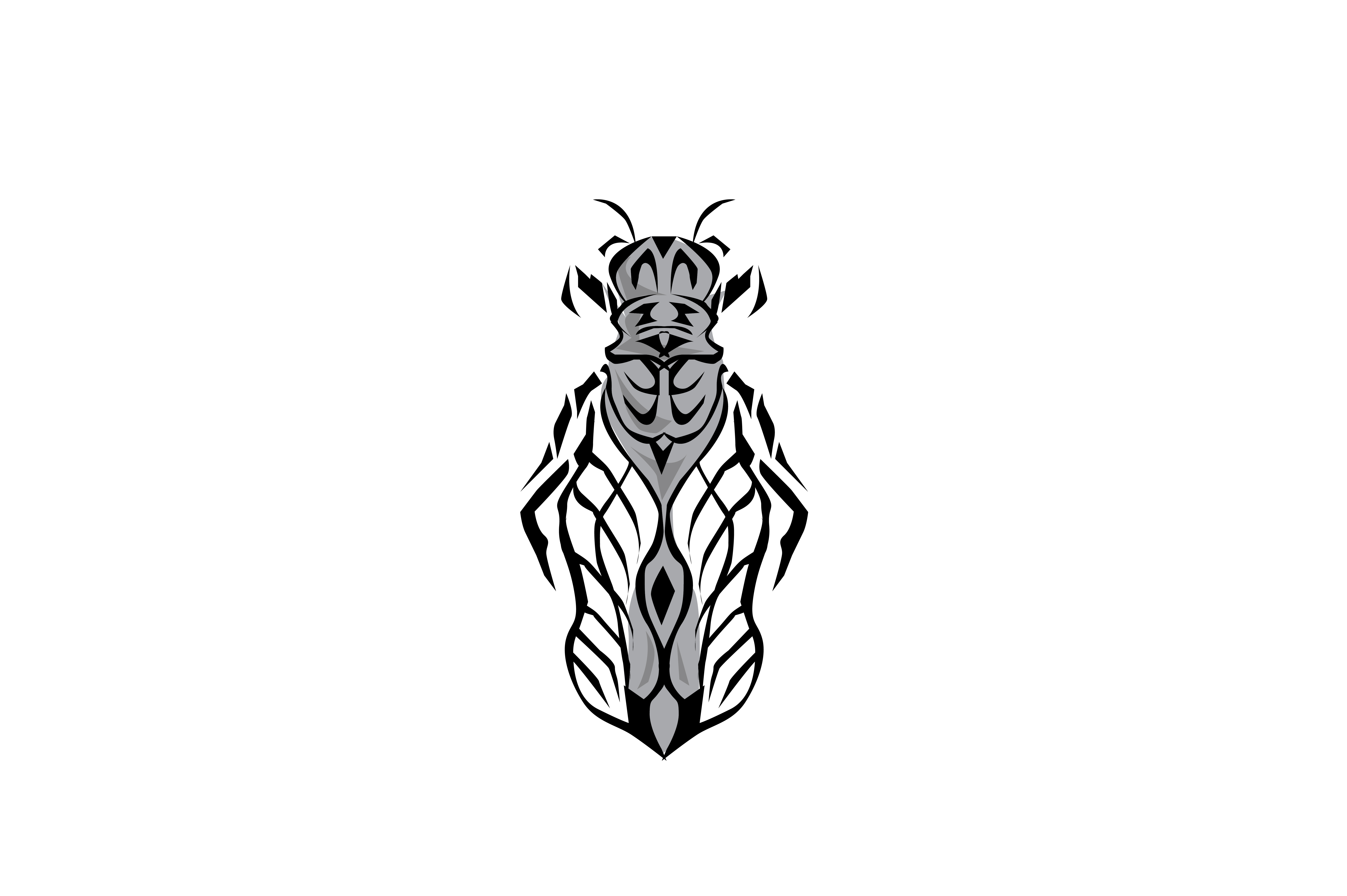 7513x5000 Insect Illustration