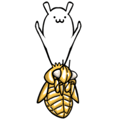 240x240 Life Of Cordyceps And Cicada Line Stickers Line Store