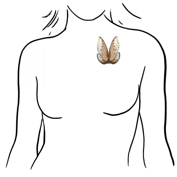 600x600 Sienna Patti Shop