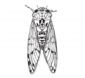 300x273 The Day Project