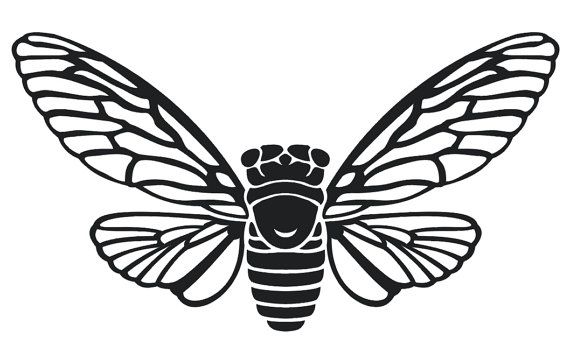 570x352 Winged Cicada X