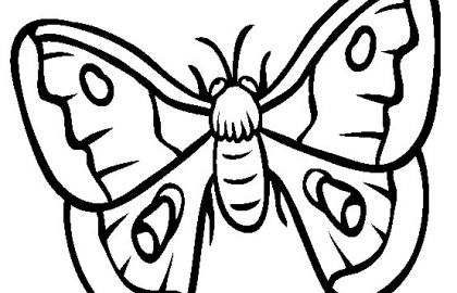 420x270 The Cicada Coloring Pages For Kids And Free Printable Octopus