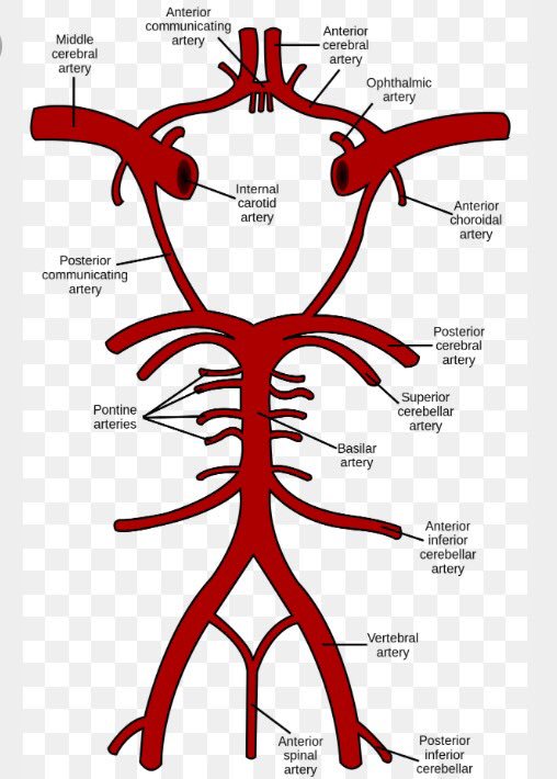 508x710 heidi james on twitter me hey, what are you drawing is that