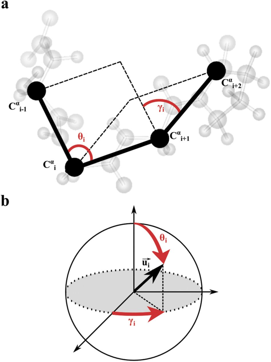 946x1260 Intrinsic Localized Modes In Proteins Scientific Reports