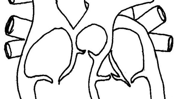 585x329 Coloring Pages Circulatory System Brilliant Pioneering Heart