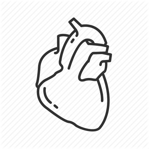 512x512 Drawing Veins Transparent Png Clipart Free Download