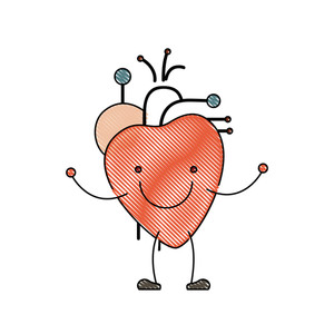 300x300 Circulatory System Royalty Free Vectors
