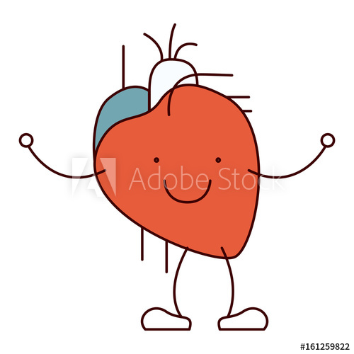 500x500 Color Sections Hand Drawing Contour Caricature Circulatory System