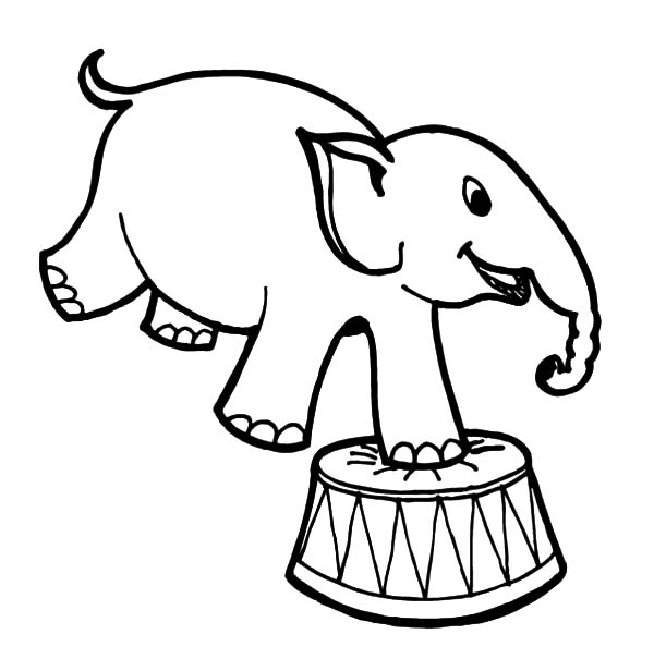 600x616 Circus Drawing Free Download