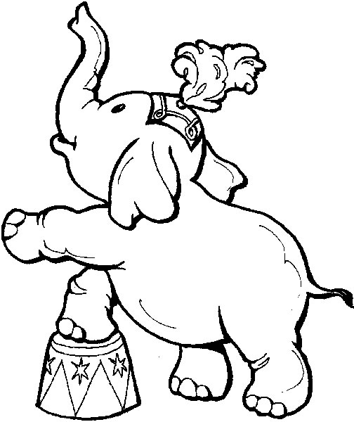 504x600 Circus Elephant Drawing