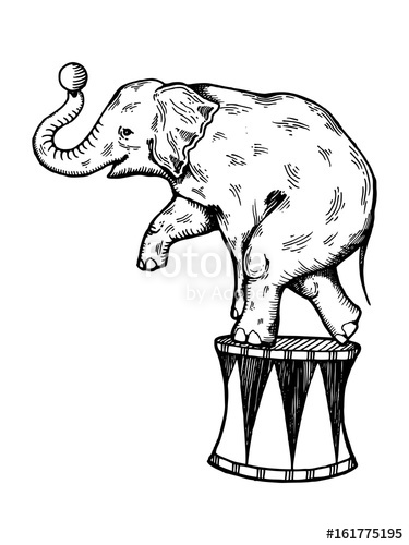 375x500 Circus Elephant Engraving Vector Stock Image And Royalty Free