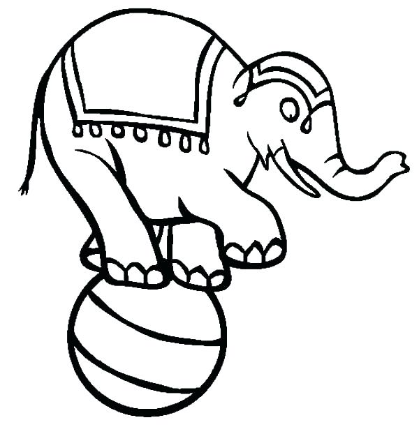 600x612 Elephant Drawing For Kids At Free For Personal Use Circus Elephant