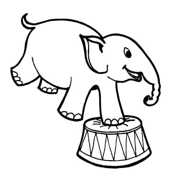 600x616 elephant printable colouring pages collection of herd of elephants