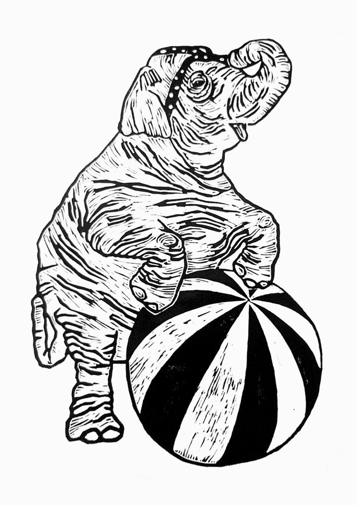 720x1019 Monika Petersen, Circus Elephant