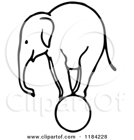 450x470 Circus Elephant Clipart Black And White