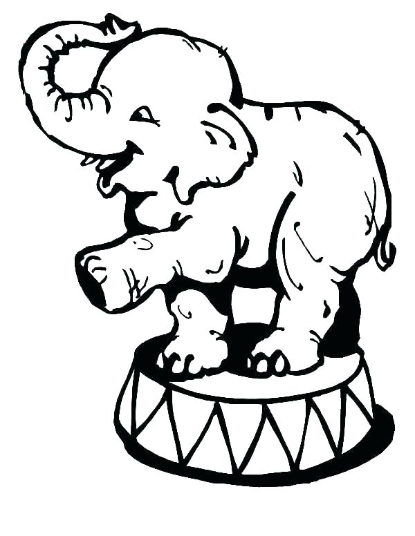 600x776 Circus Animals Coloring Pages Free Printable Circus Animal