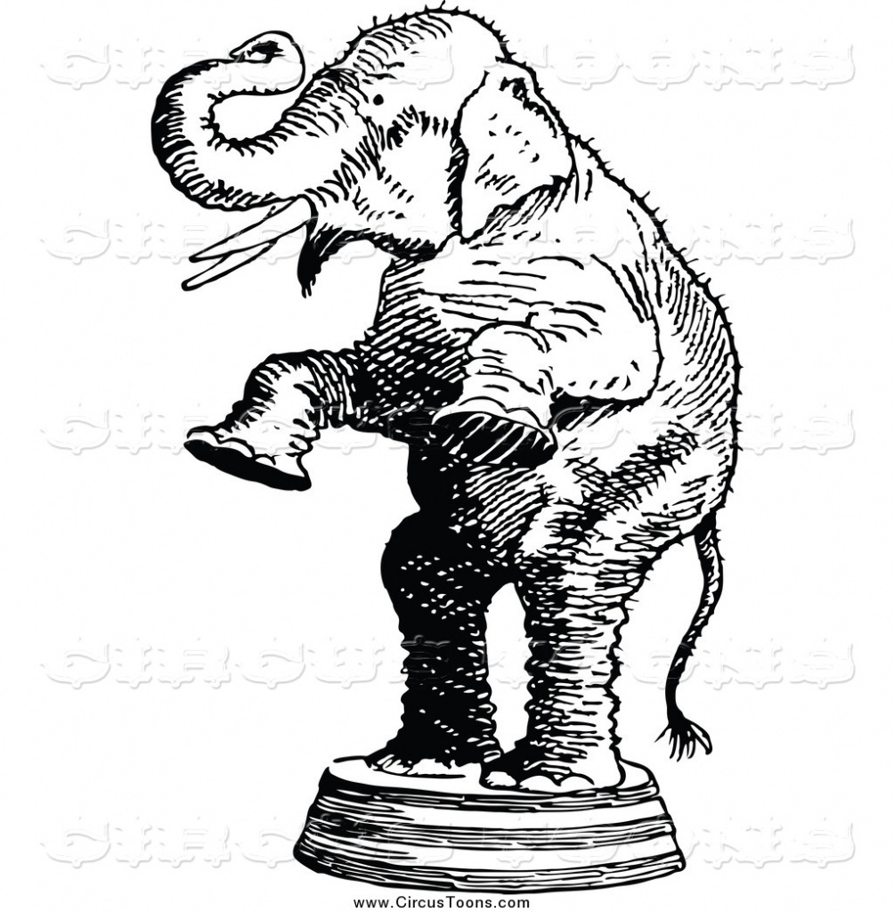 1004x1024 Circus Clipart Circus Elephant