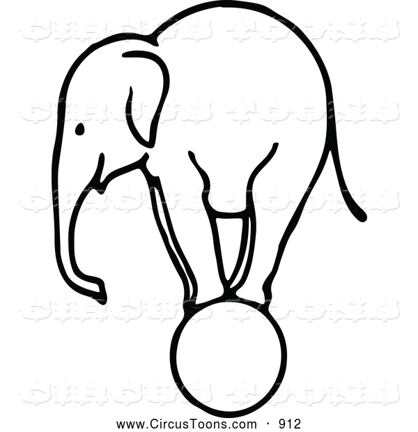 600x620 Circus Clipart Of A Sketched Black And White Elephant Balancing