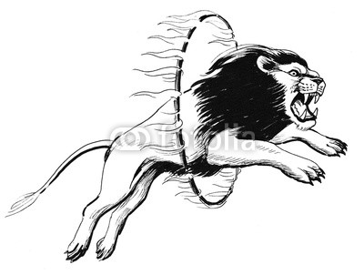 400x302 lion in the circus buy photos ap images detailview