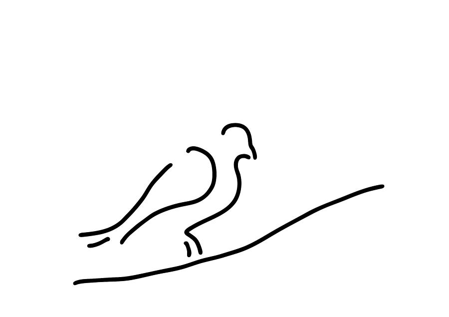 900x635 Pigeon Dove In Town City Drawing