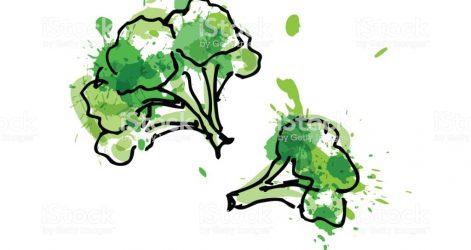 471x250 Broccoli Drawing Easy Tumblr Pencil But Cool Line Duck