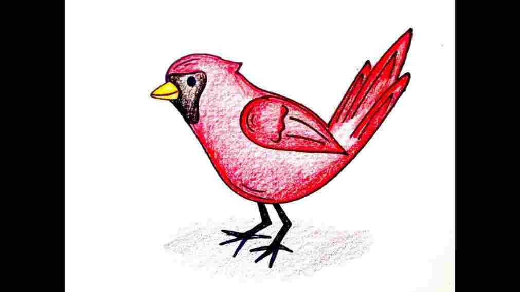 1011x569 easy pencil shading drawings birds