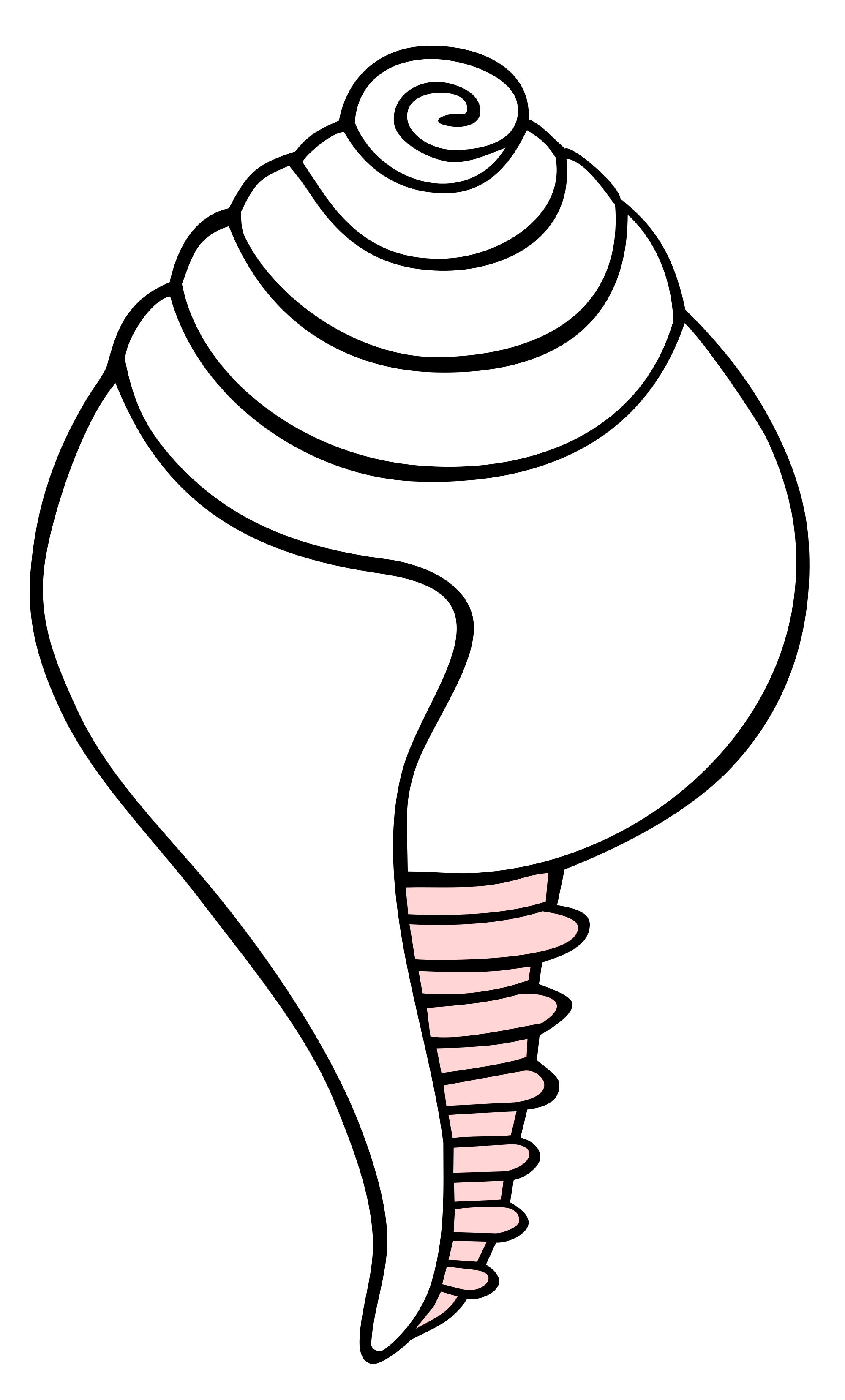 2000x3314 Collection Of Free Clam Drawing Simple Download On Ui Ex