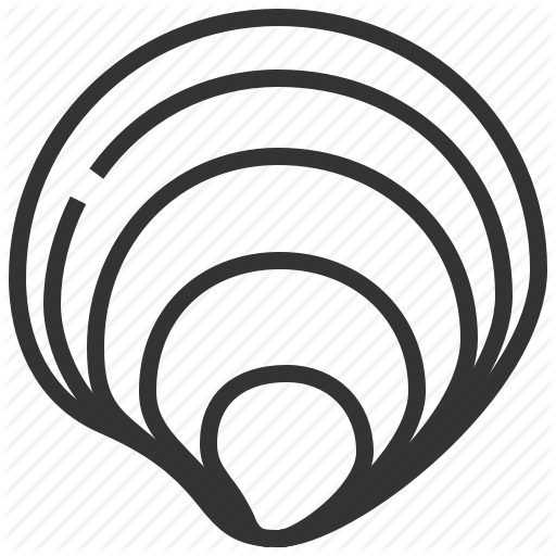 512x512 Seafood Drawing Clam Transparent Png Clipart Free Download