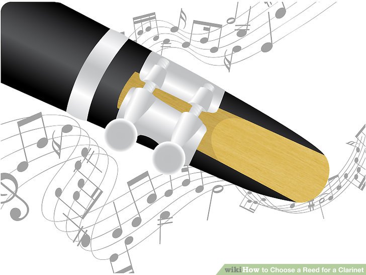 728x546 How To Choose A Reed For A Clarinet Steps