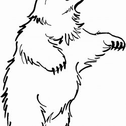 250x250 Bear Arms Drawing Cartoon Vector Claw Baby Basic Iydunetwork