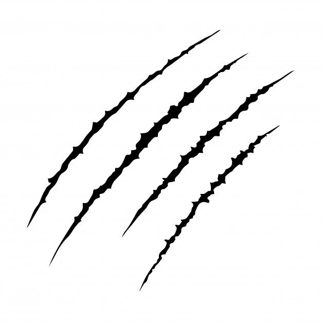 626x626 Hand Drawn Animal's Claws Scratch Scrape Track, Cat Tiger