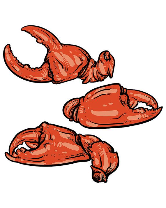 570x713 Etsy Drawing Food Vector Illustration