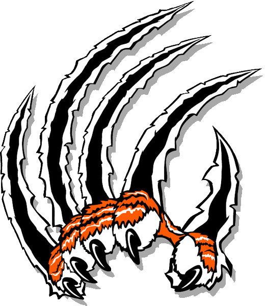 524x600 Tigers Drawing Transparent Png Clipart Free Download