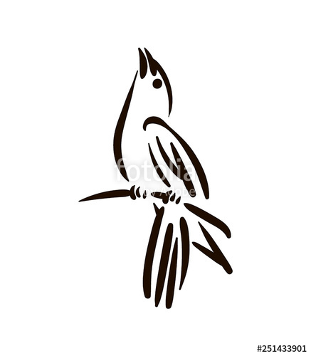 437x500 vector hand drawn bird line silhouette hand drawn illustration