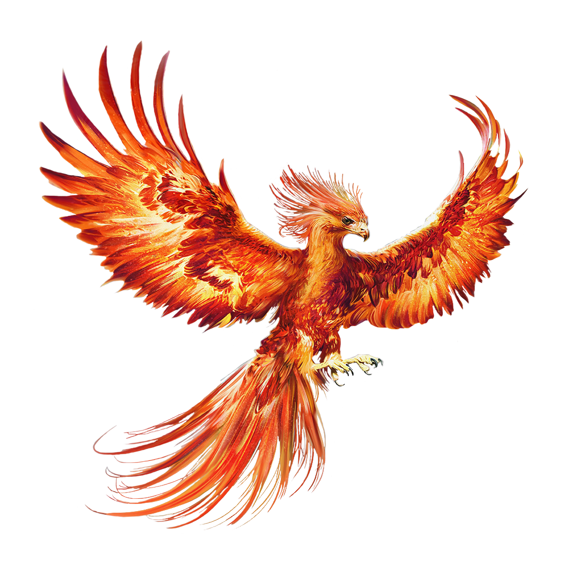 1108x1094 Claw Drawing Phoenix Huge Freebie! Download For Powerpoint