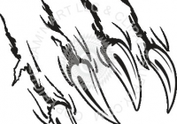 200x140 Tiger Claw Marks