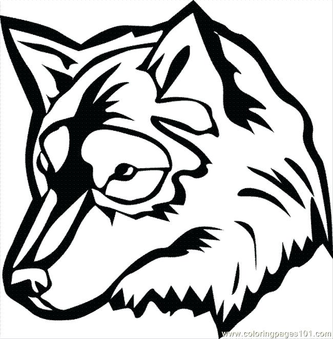 650x663 Wolf Color Pages Coloring For Adults