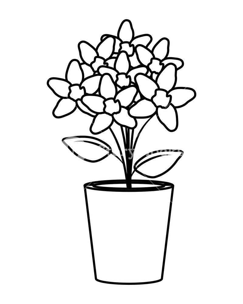800x1000 Floral Decoration In Clay Pot Vector Illustartion Design Royalty